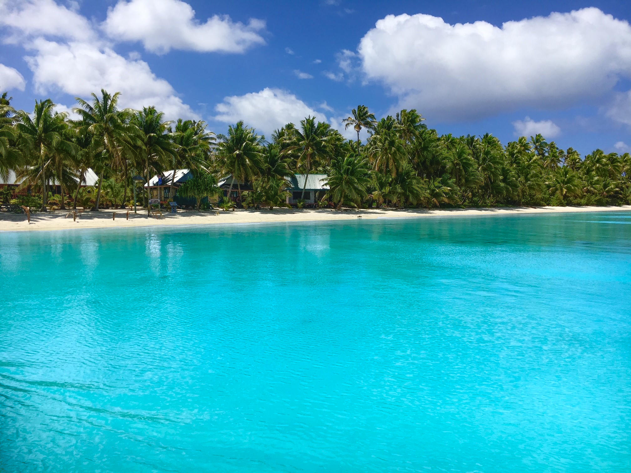 Das Bild zeigt den Strand von Aitutaki vom Meer aus betrachtet. Im Vordergrund ist das Wasser. Weiter hinten ist der Strand mit einigen Hütten und einem Palmenwald.