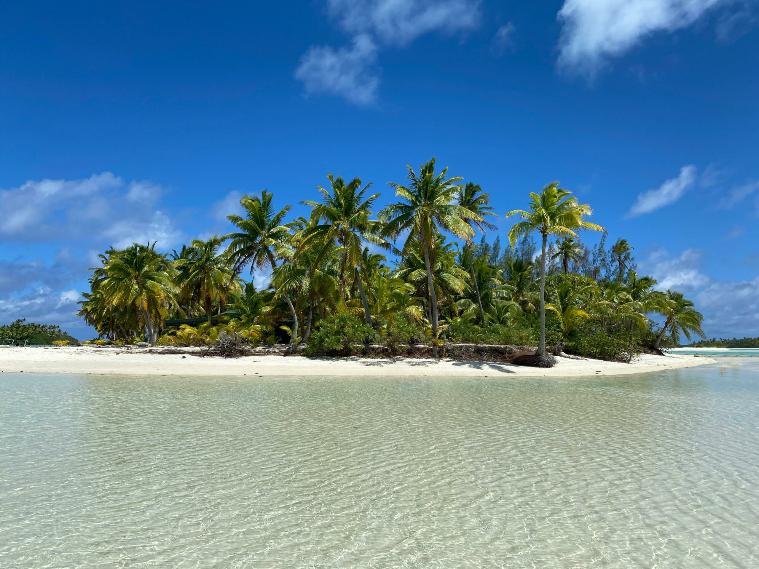 Das Bild zeigt die One-Foot Island bei Aitutaki. Im Vordergrund ist das flache Meer zu sehen, im Fokus des Bildes ist die Insel mit dem Strand und einem kleinen Palmenwald.