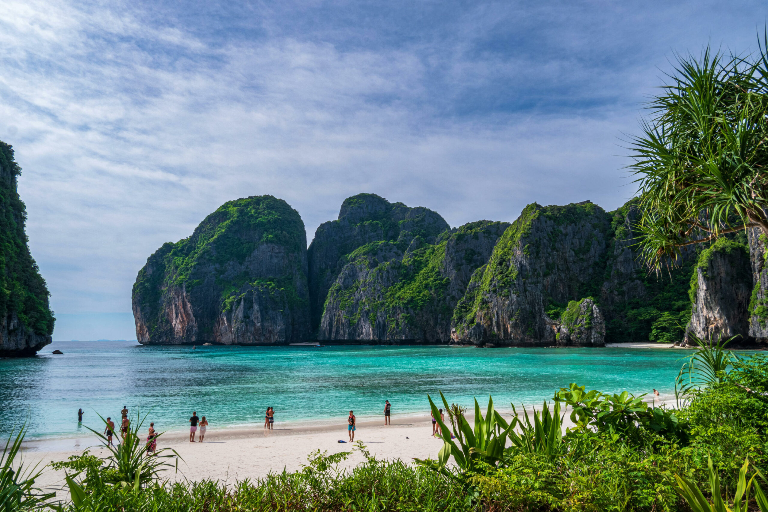 Das Bild zeigt die Maya Bay auf Ko Phi Phi Le. Im Vordergrund sind einige grüne Pflanzen und ein weißer Strand mit Touristen zu sehen. Dahinter sind das türkisfarbene Meer und große Felsformationen mit Pflanzen darauf. Der Himmel ist blau und leicht bewölkt.