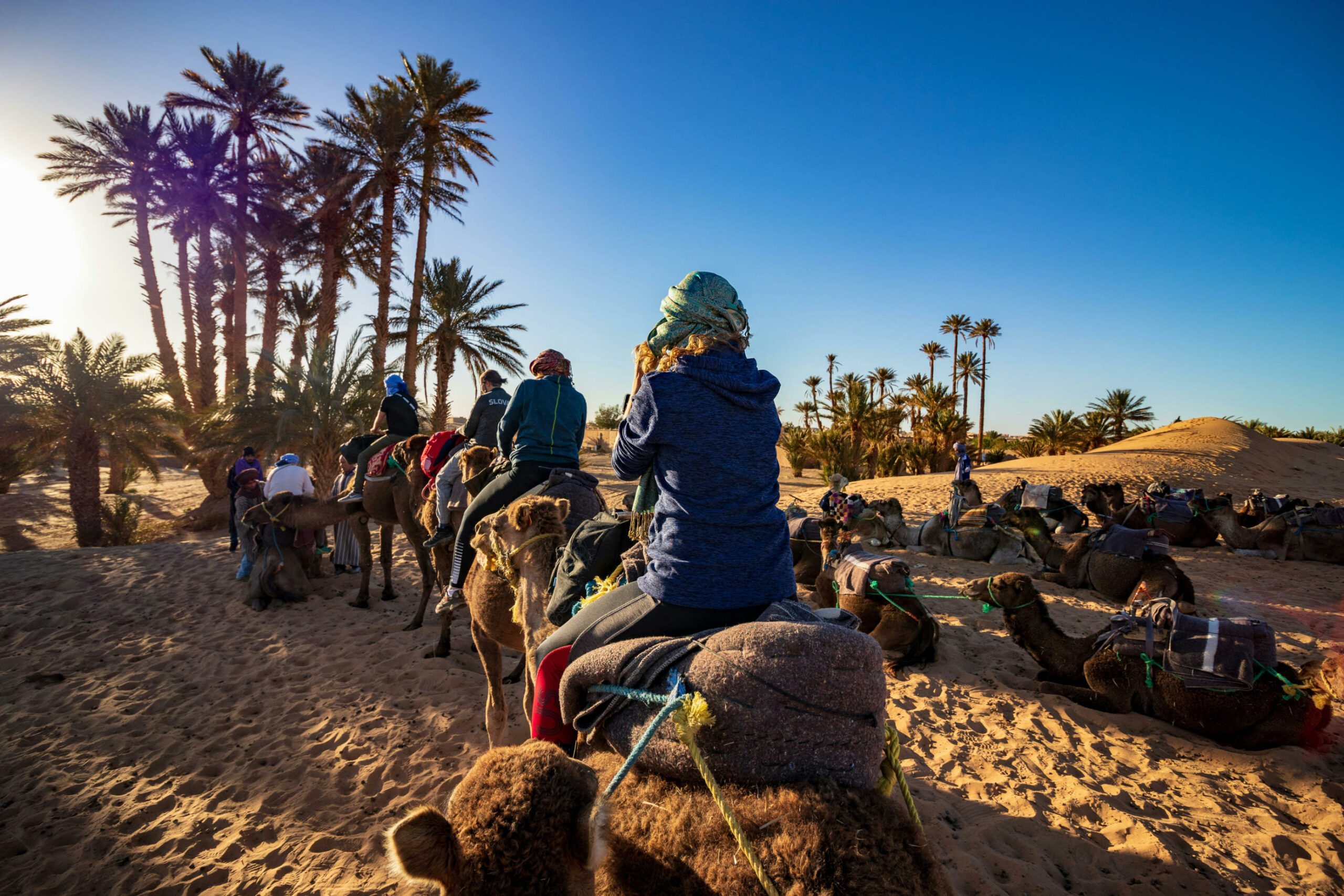Das Bild zeigt einen Karavan in der Wüste. Im Hintergrund stehen einige Palmen. Im Vordergrund stehen und liegen viele Kamele, die mit Stricken in Reihen aneinander gebunden sind. Auf den Rücken einiger Kamele sitzen Menschen mit Stoffturbanen auf dem Kopf. Es scheint so, als ob sie eine Kameltour unternehmen.